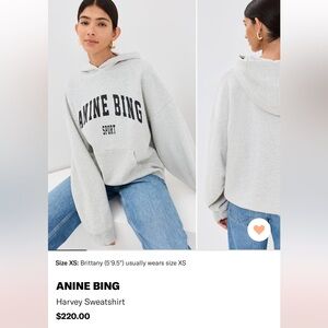 Anine Bing Light Gray Hoodie XL